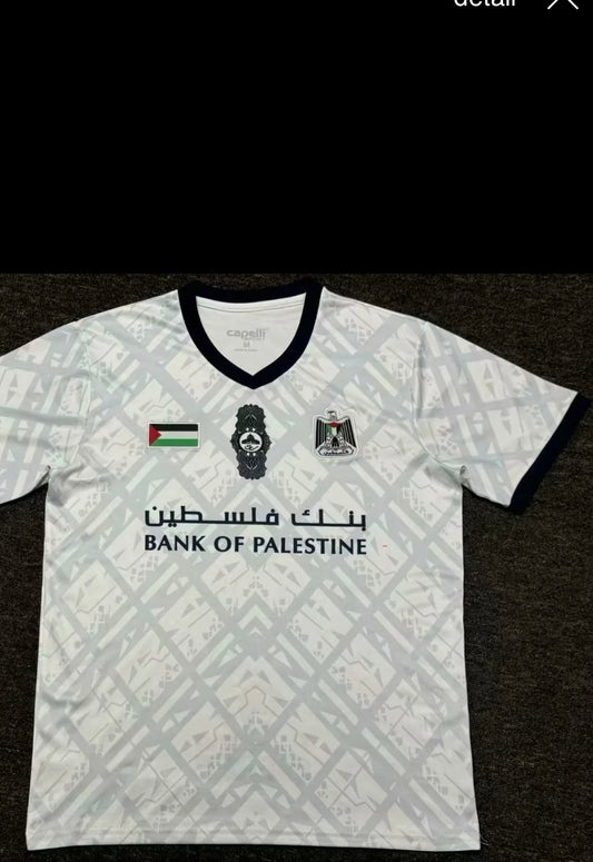 Palestine 25-26 gris