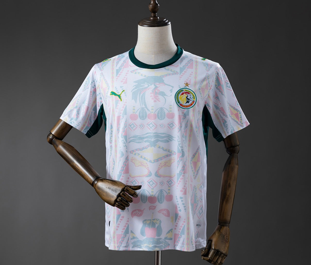 Sénégal Domicile CDM 2026